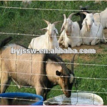 high tensile sheep fence